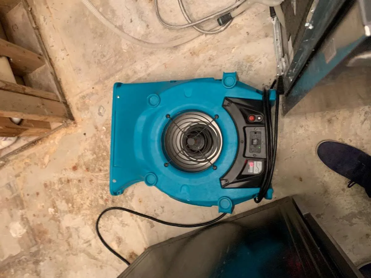 Air mover drying equipment for Mold Remediation & Removal in Harrietstown
